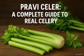 pravi celer